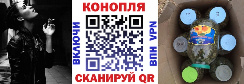 Купить  Кондрово  Бошки Шишки White Widow 